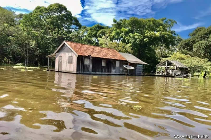 Enchente do Rio Amazonas castiga ribeirinhos dos municípios do oeste do Pará